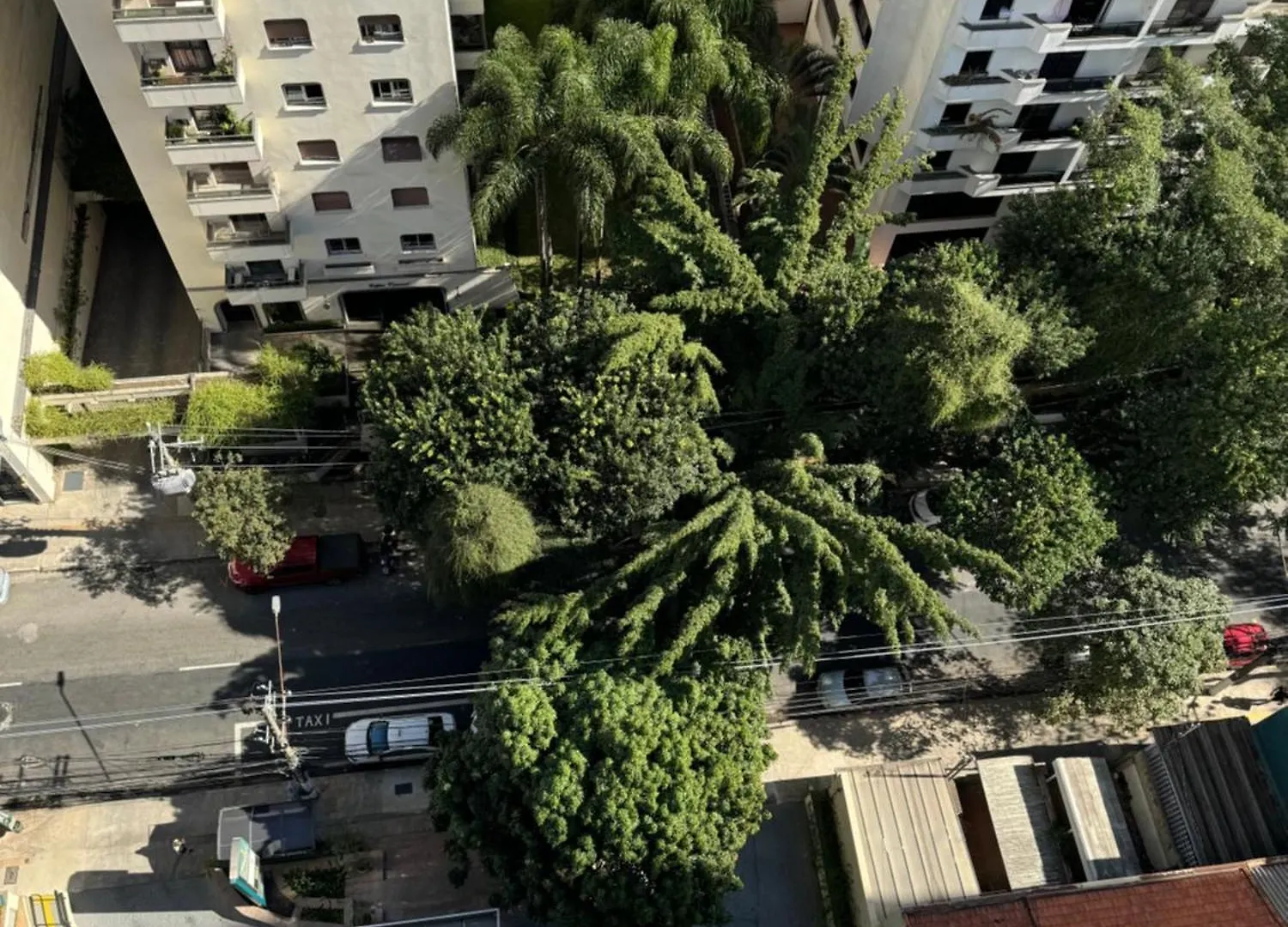Apartment Apartamento Oscar Freire Sao Paulo Brazil